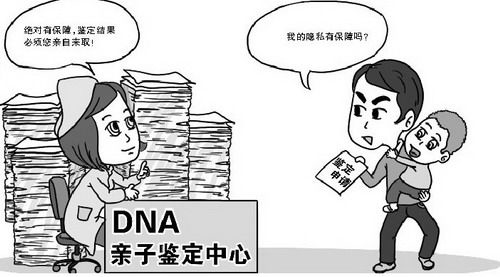 金华可以做DNA亲子鉴定吗,金华做亲子鉴定基本流程